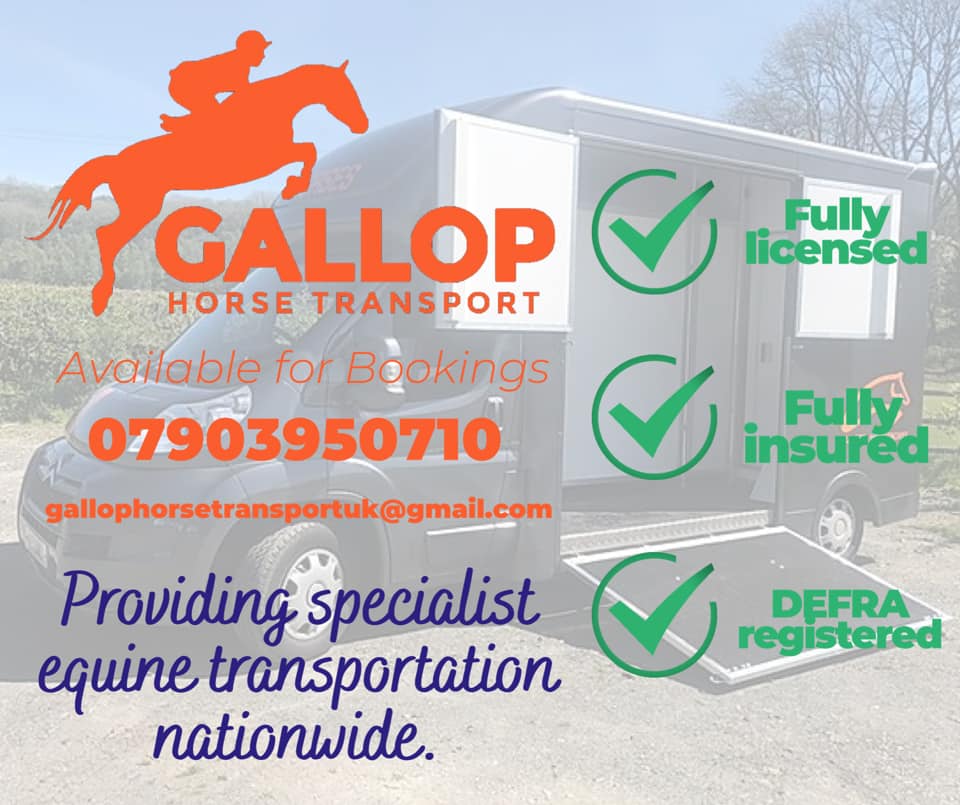 Gallop Horse Transport